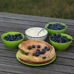 Blueberry 'Bluecrop' 15 Blueberry 'Bluecrop' -RootJoy Sales Shop pl0000001890 card8 lg