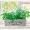 Kitchen Herb Garden Kit