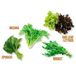 Kitchen Salad Garden Kit 5 Kitchen Salad Garden Kit -RootJoy Sales Shop pl2000023931 card3 lg