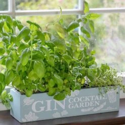 Gin Cocktail Herb Garden Kit
