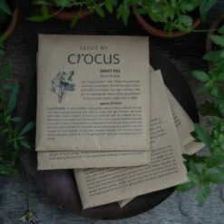 Heritage Sweet Pea Seed Gift Box 5 Heritage Sweet Pea Seed Gift Box -RootJoy Sales Shop pl2000024349 card3 lg