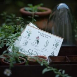 Apothecary Herbs Seed Gift Box 5 Apothecary Herbs Seed Gift Box -RootJoy Sales Shop pl2000024987 card3 lg