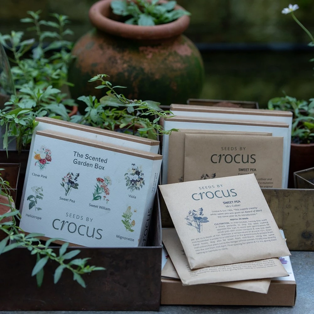 The Scented Garden Seed Gift Box 2 The Scented Garden Seed Gift Box - Image 2