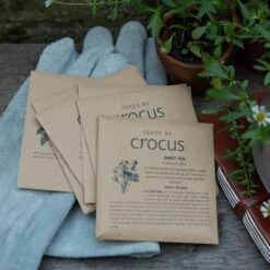 The Scented Garden Seed Gift Box 5 The Scented Garden Seed Gift Box -RootJoy Sales Shop pl2000024988 card3 lg