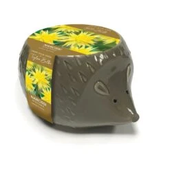 Novelty Hedgehog Planter