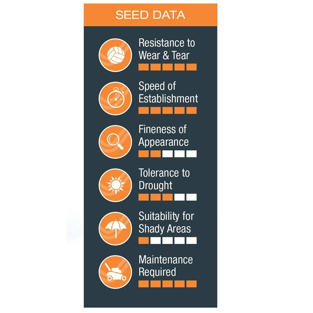 Johnsons Tuffgrass Lawn Seed 2 Johnsons Tuffgrass Lawn Seed - Image 2
