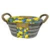 Daffodil And Muscari Outdoor Metal Trough Gift Set