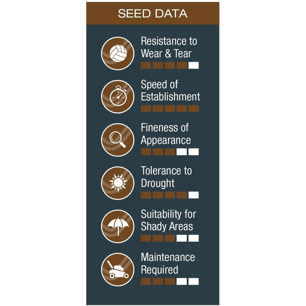 Johnsons Any Time Lawn Seed 3 Johnsons Any Time Lawn Seed - Image 3