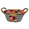 Tulips Outdoor Metal Trough Gift Set