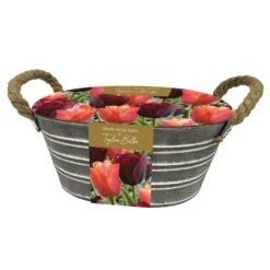 Tulips Outdoor Metal Trough Gift Set