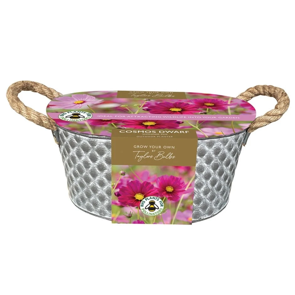 Cosmos Gift Set 1 Cosmos Gift Set