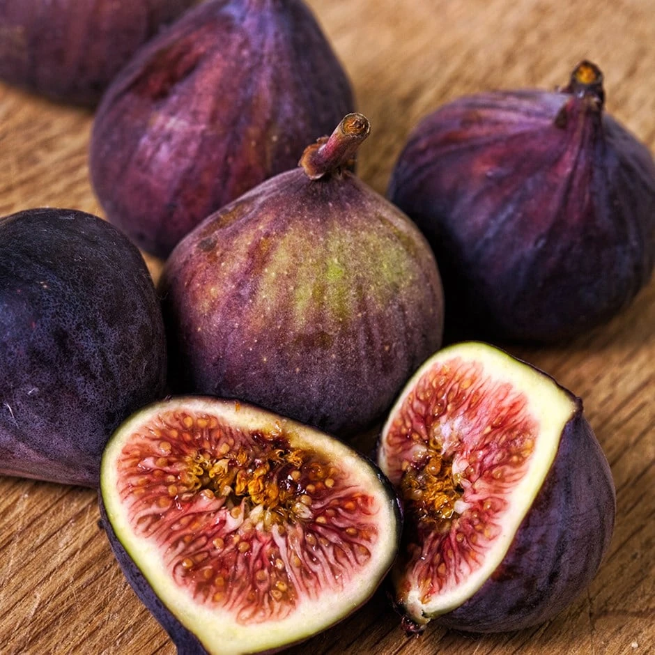 Fig 'Dauphine' 1 Fig 'Dauphine'