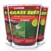 Canada Green Lawn Seed