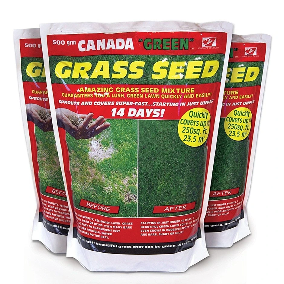 Canada Green Lawn Seed 1 Canada Green Lawn Seed