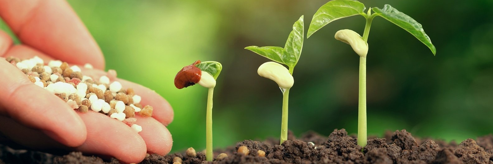 Front Page -RootJoy Sales Shop banner875